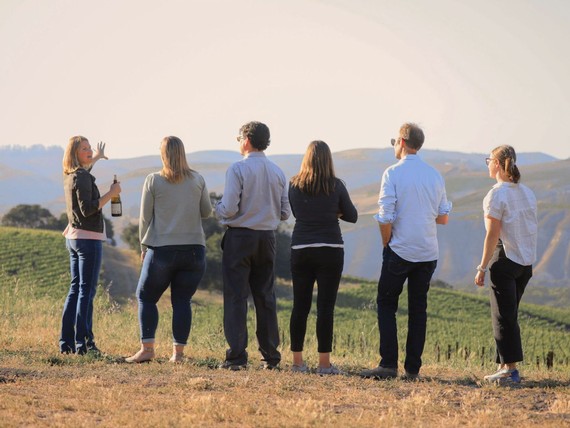 Parallel Vineyard Tasting Experience