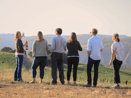 Parallel Vineyard Tasting